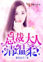 总裁大人，请温柔