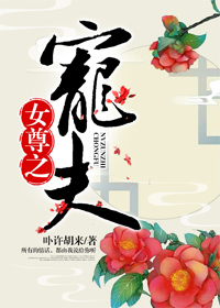 女尊之宠夫