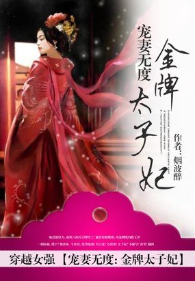 宠妻无度：金牌太子妃