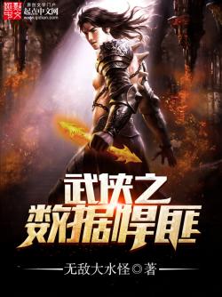 《武侠之数据悍匪》