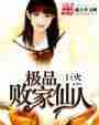 极品败家仙人