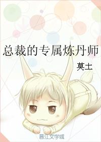 总裁的专属炼丹师