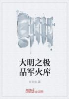 大明之极品军火库