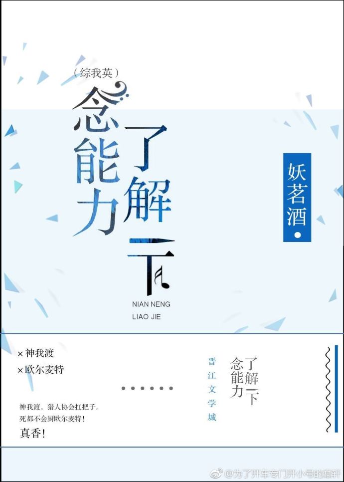 念能力了解一下[综]