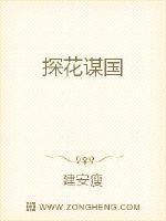 探花谋国