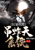 狂暴炫酷吊炸天系统