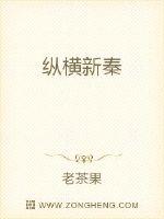 纵横新秦