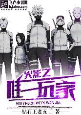 火影之唯一玩家